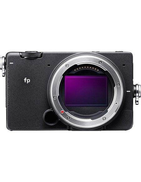 fp body